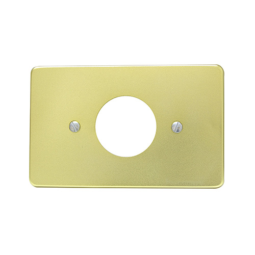 PLACA SENCILLA DE ALUMINIO, LÍNEA ESTÁNDAR, COLOR ORO