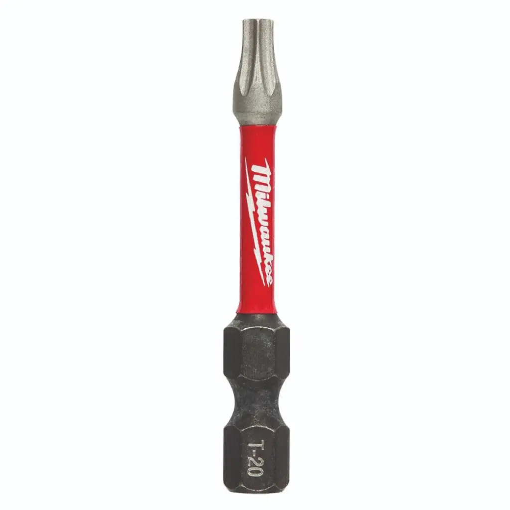 PAQUETE DE 25 PUNTAS TORX T20 X 2